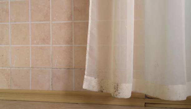 Best Dehumidification Services  in Culver, IN