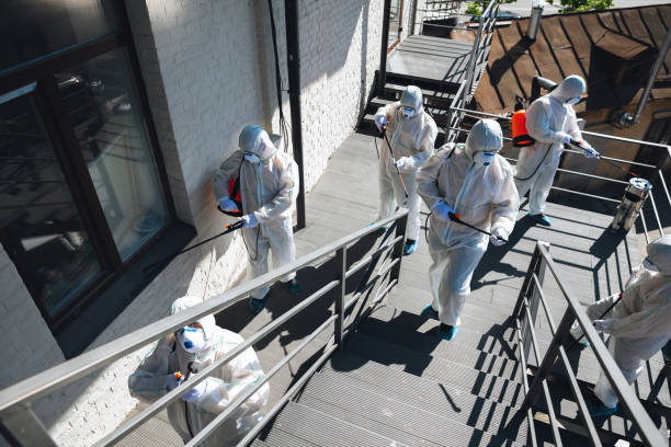 Best Forensic Mold Investigation  in Culver, IN