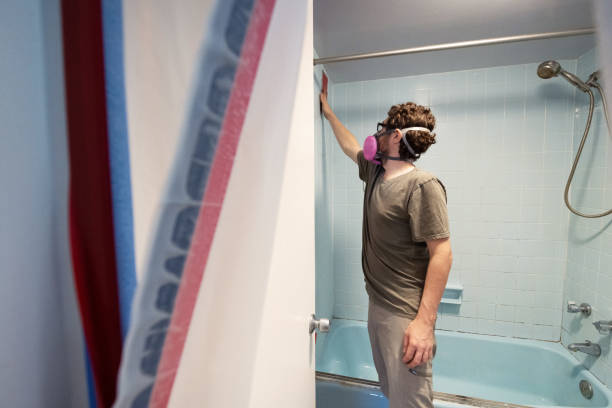Best Black Mold Removal  in Culver, IN